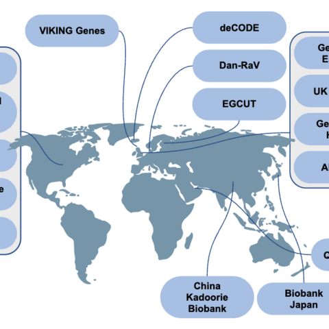 Brava Map